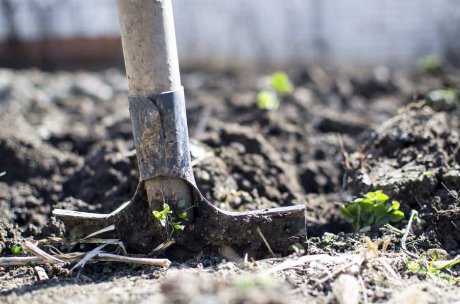 10 Steps for Starting a Vegetable Garden - Sweeney's Custom Landscaping Inc