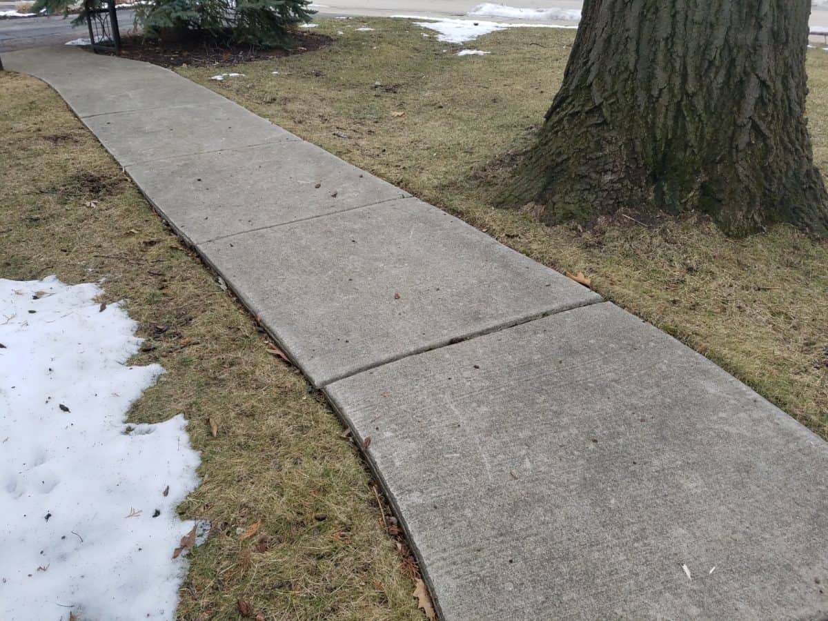 Winter Damaged Turf - Sweeney's Custom Landscaping Inc