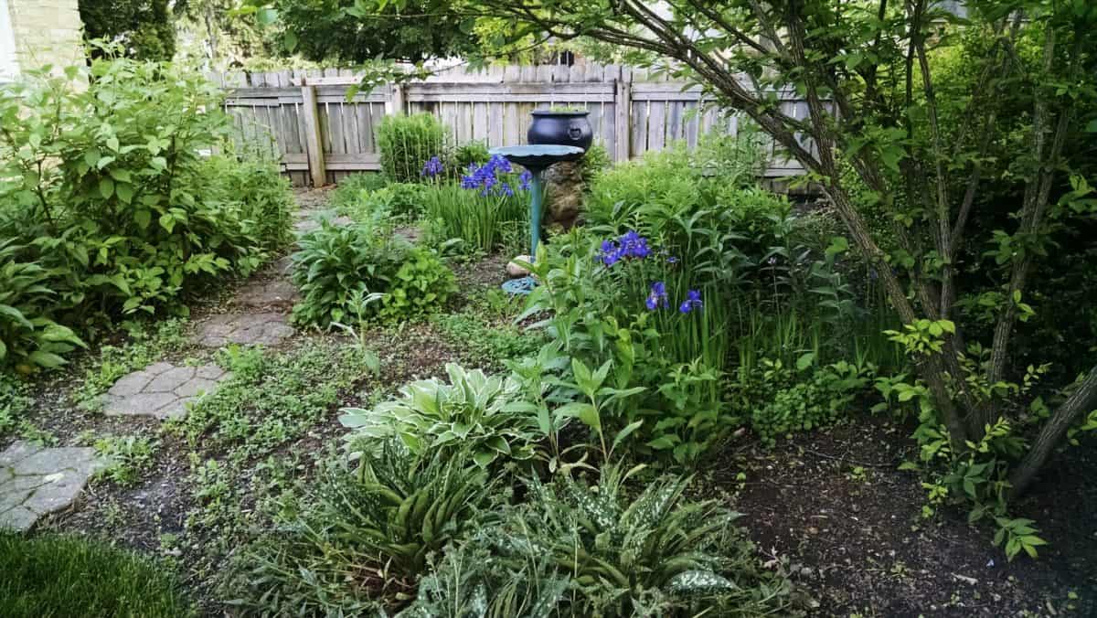 Finding Your Way: Creating a Garden Path - Sweeney's Custom Landscaping Inc