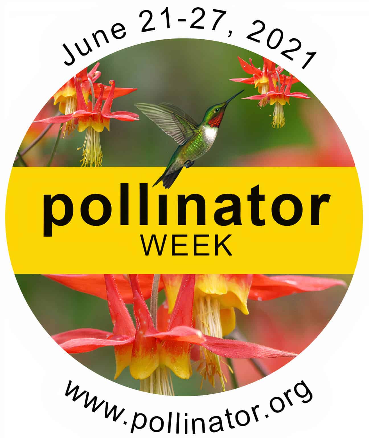 National Pollinator Week What Can You Do? Sweeney's Custom